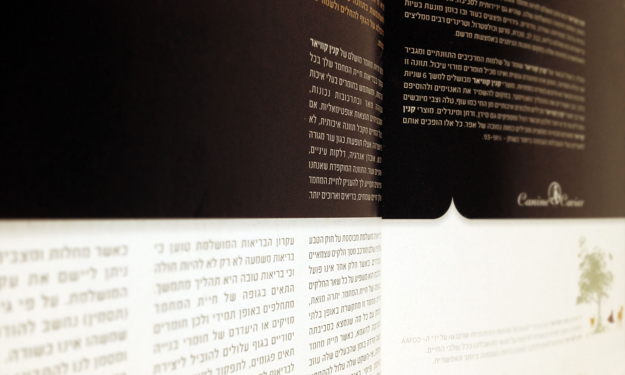 פרט מתוך עיצוב חוברת המוצרים