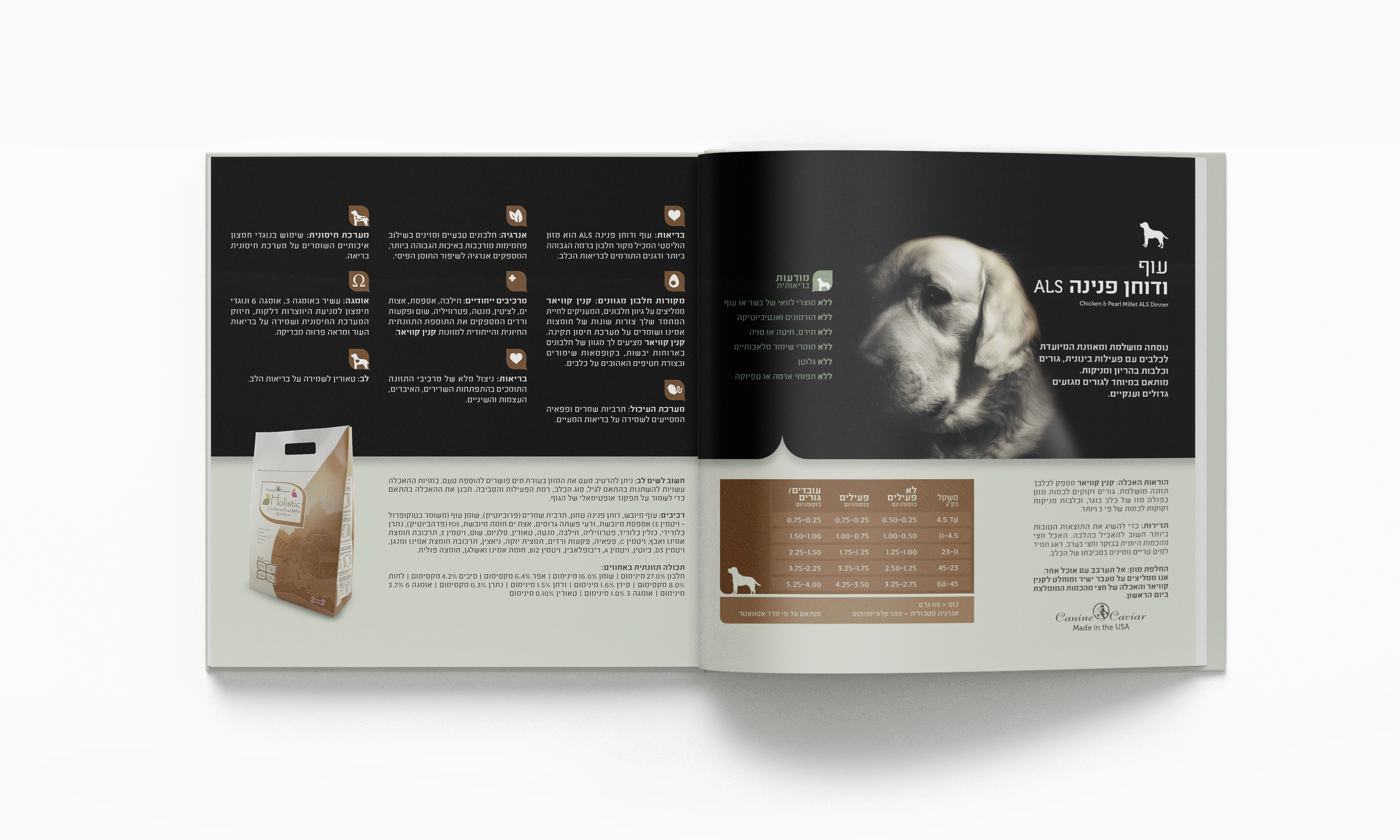 עיצוב חוברת מוצרים