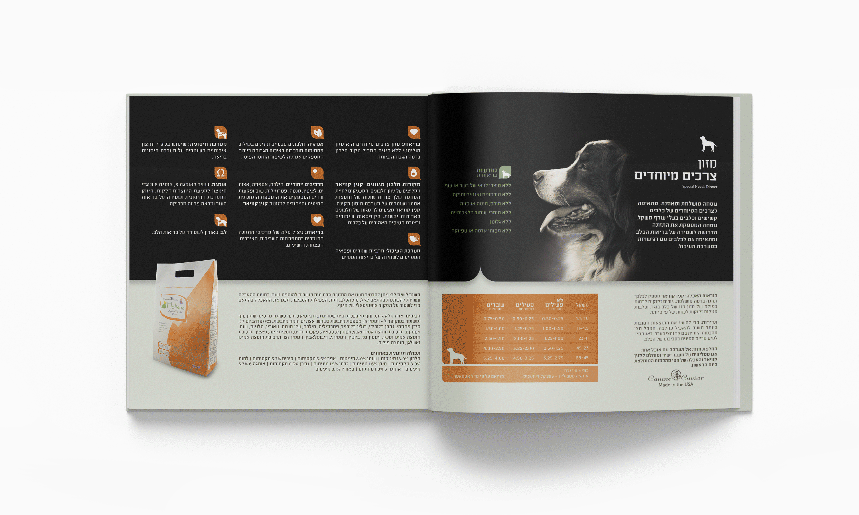 עיצוב חוברת מוצרים