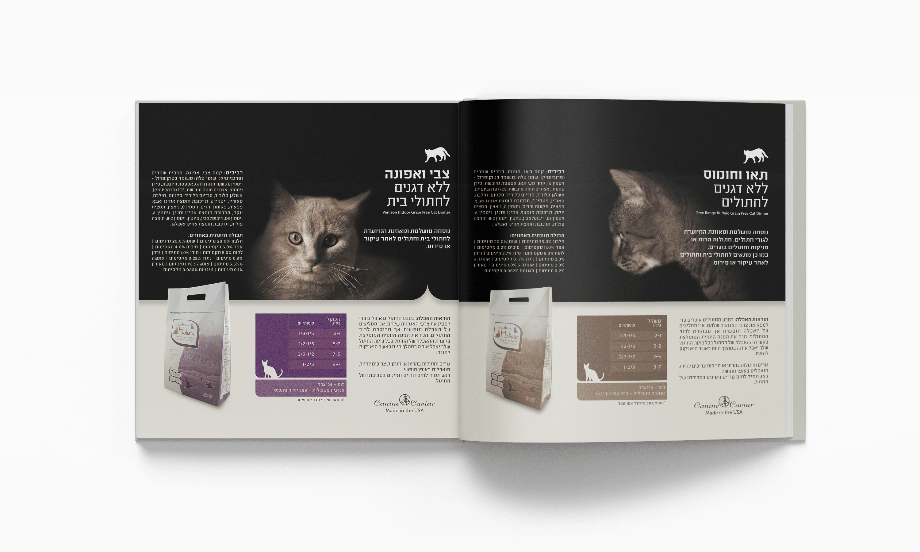 עיצוב חוברת מוצרים