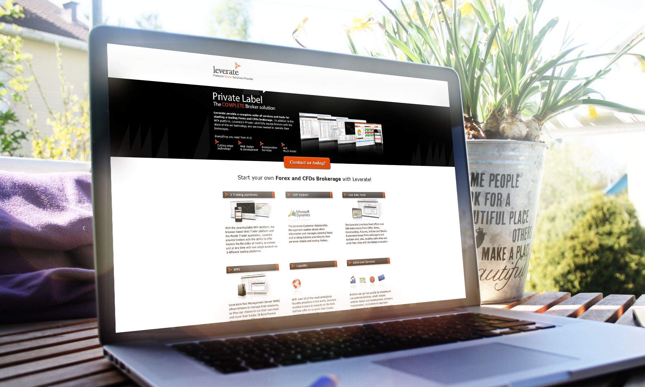 עיצוב האתר לחברה